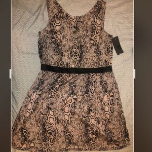 💛 NWT. NYE Snake print/ python fit & flare dress